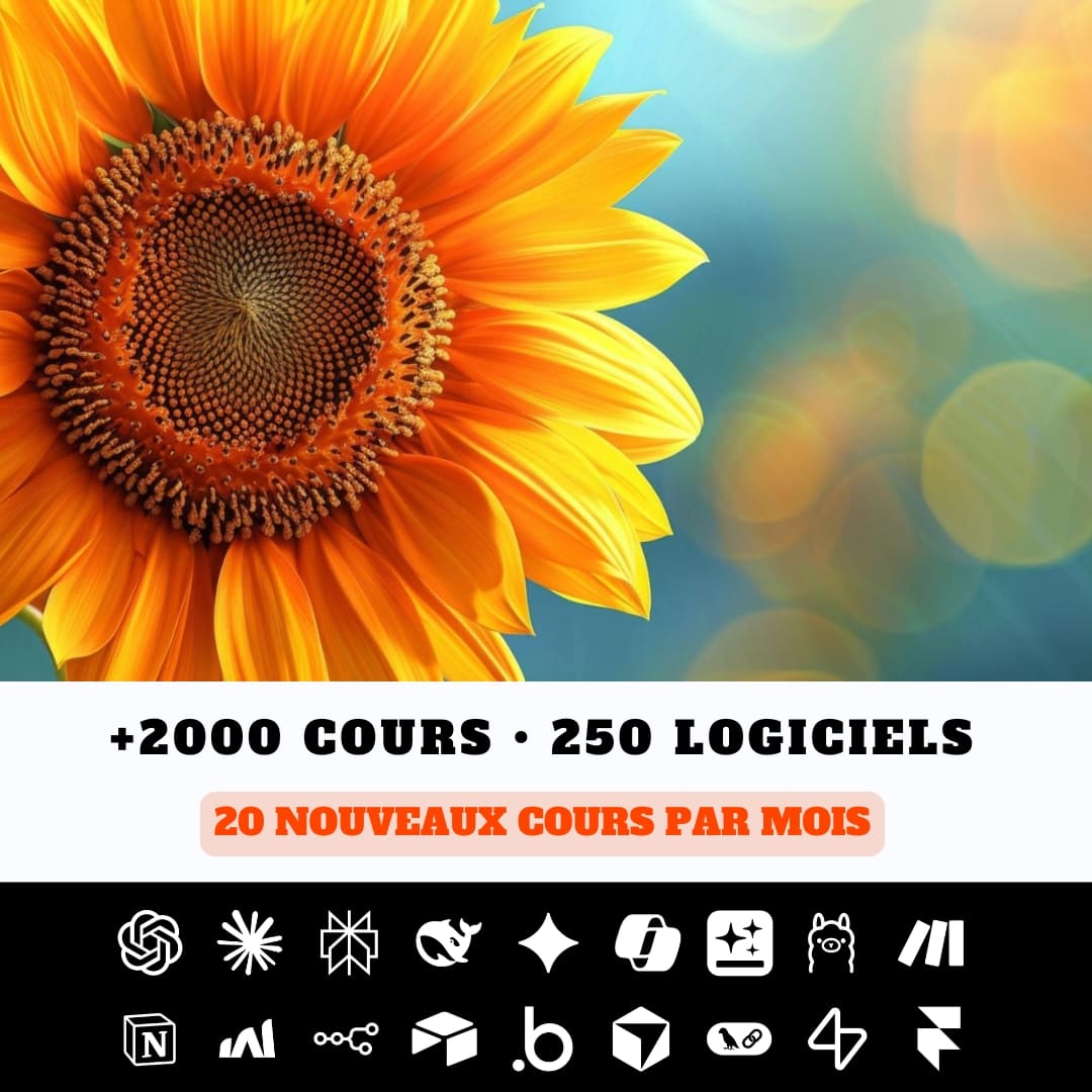 Soldes d’été : -60% sur tous les cours
