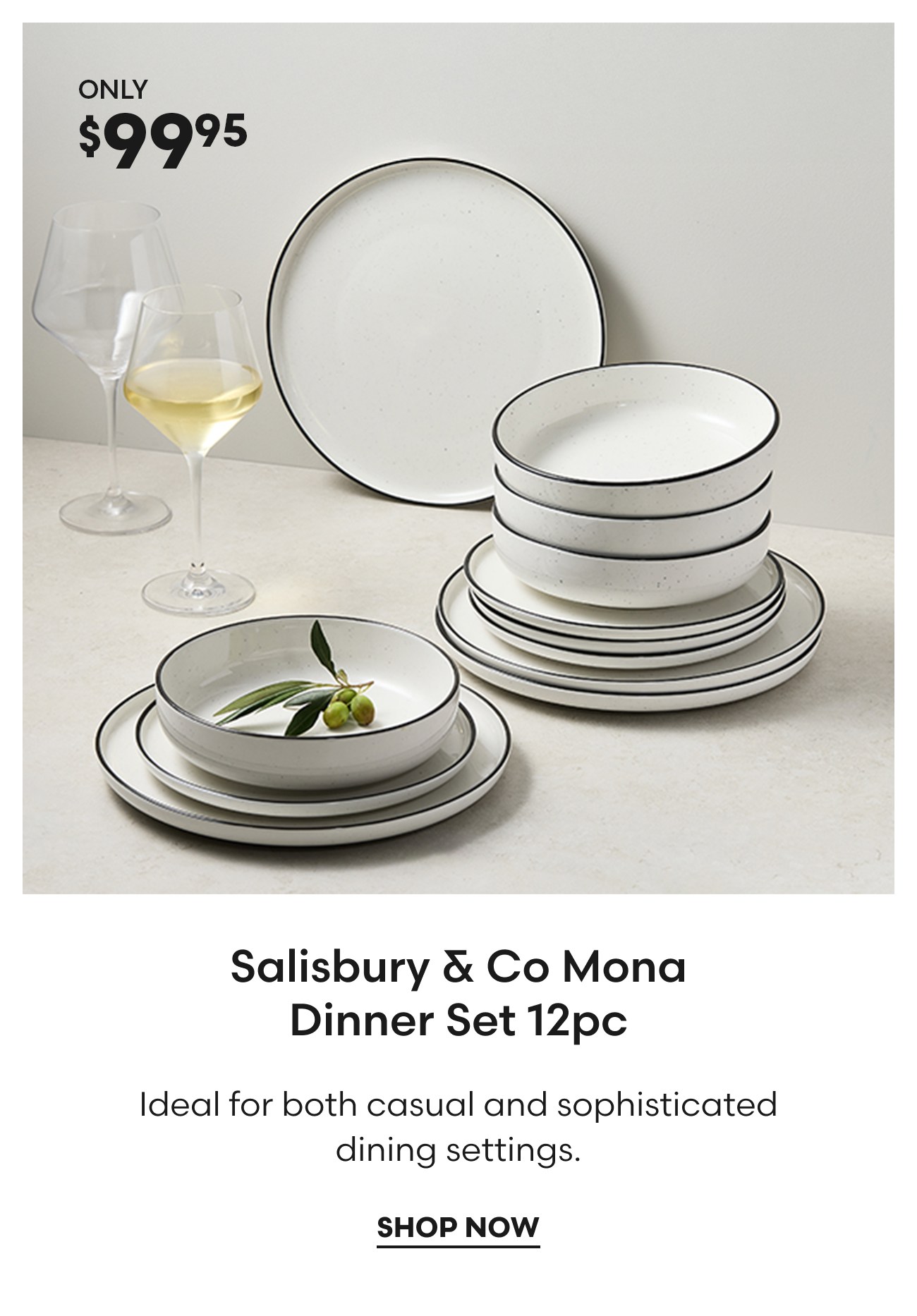 Salisbury & Co Mona Dinner Set 12pc