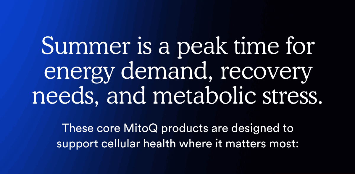 Summer is a peak time for energy demand, recovery needs, and metabolic stress.