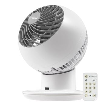 Woozoo Globe Fan