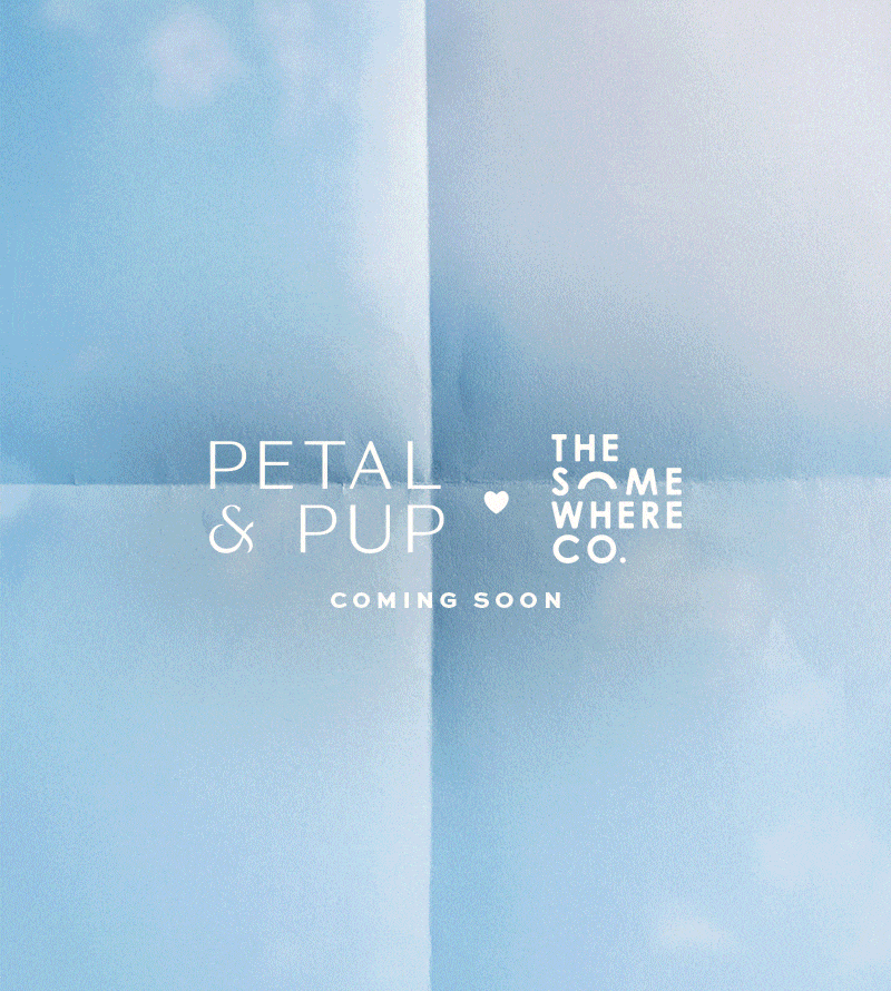 P&P X The Somewhere Co.