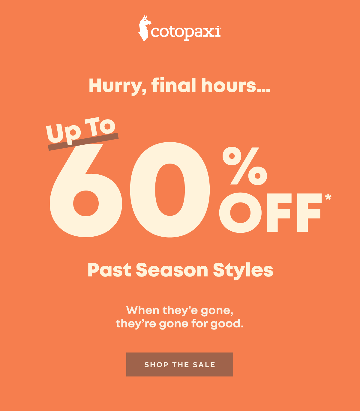 Shop The Sale