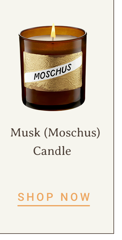 Musk (Moschus) Candle | SHOP NOW