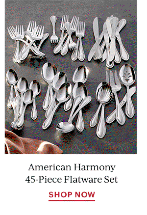 American Harmony 45-Piece Flatware Set  SHOP NOW