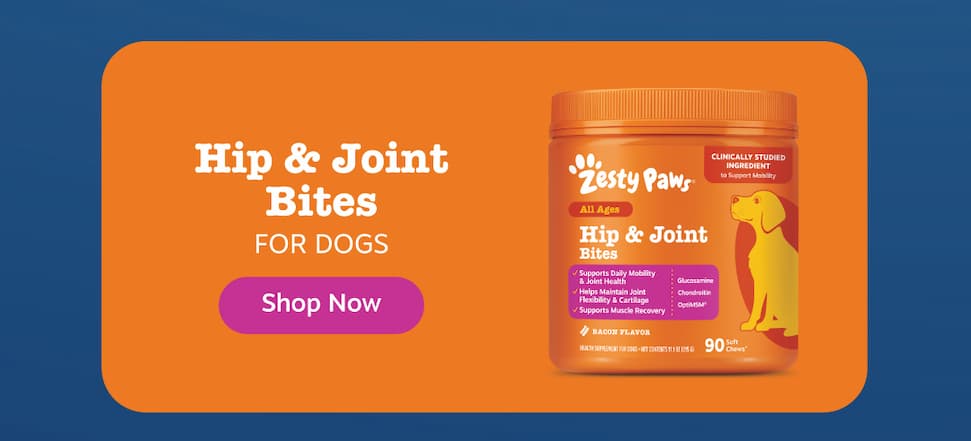 Hip & Joint Bites for Dogs! Shop Now