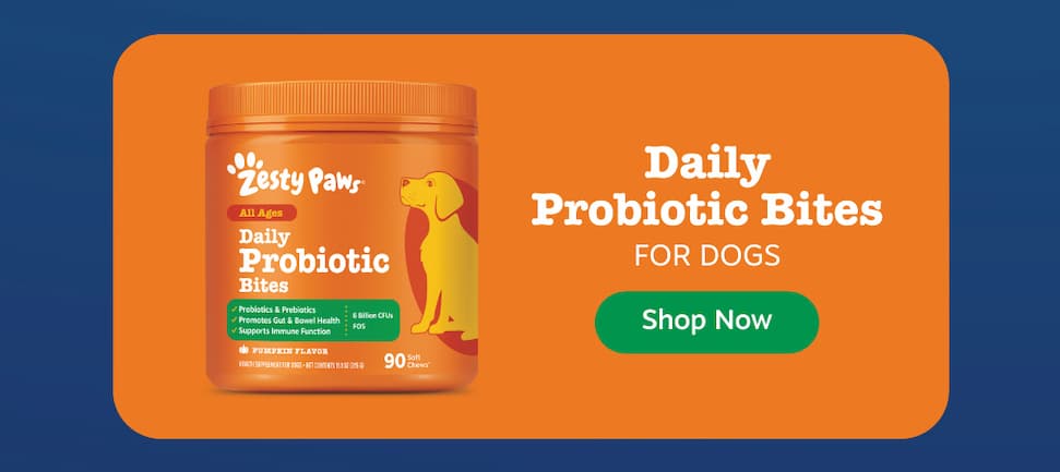 Daily Probiotic Bites for Dogs! Shop Now