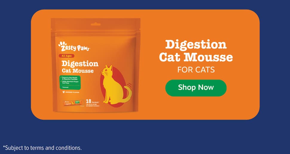 Digestion Cat Mousse for Cats! Shop Now