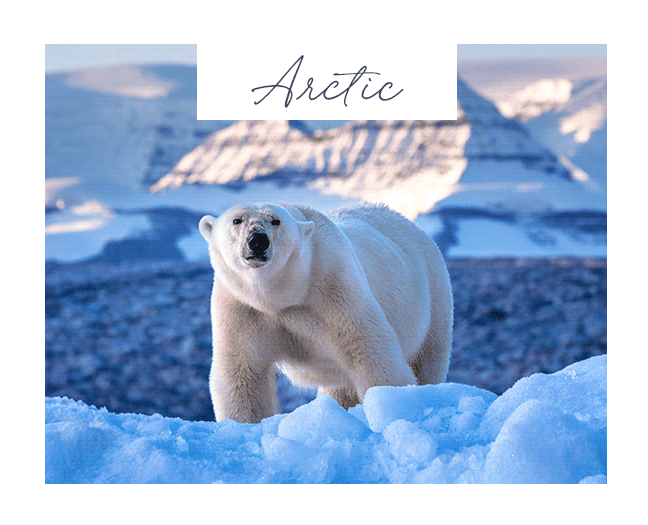 Arctic
