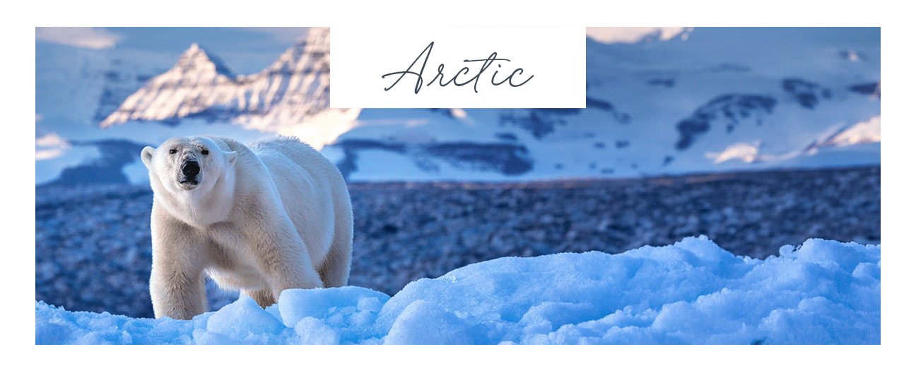 Arctic