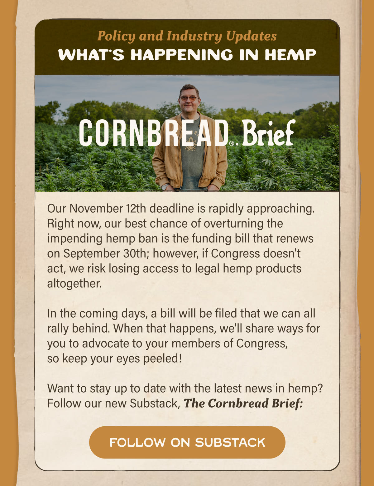 Cornbread Brief Substack