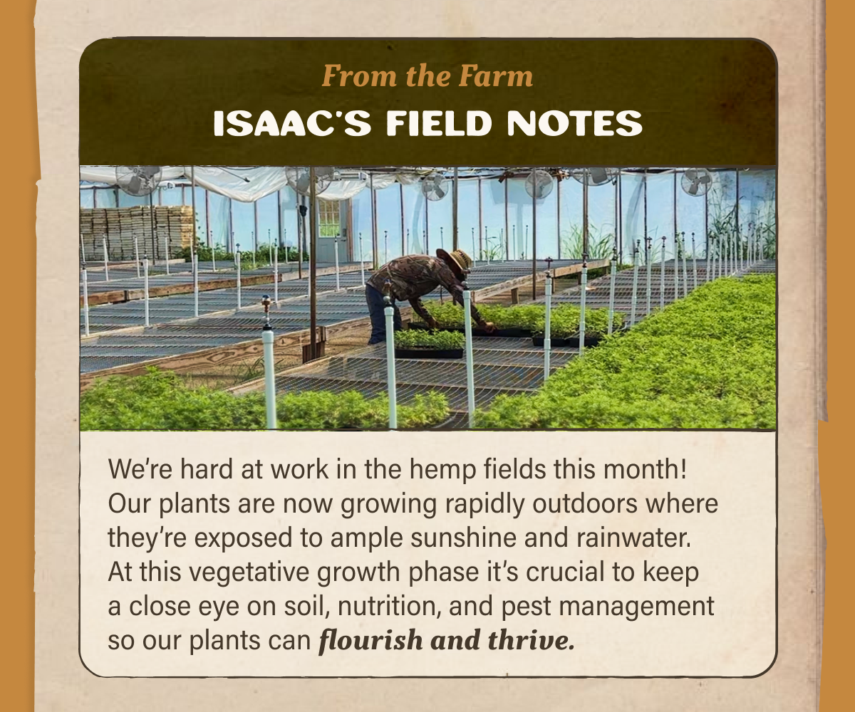 Isaac's Field Notes