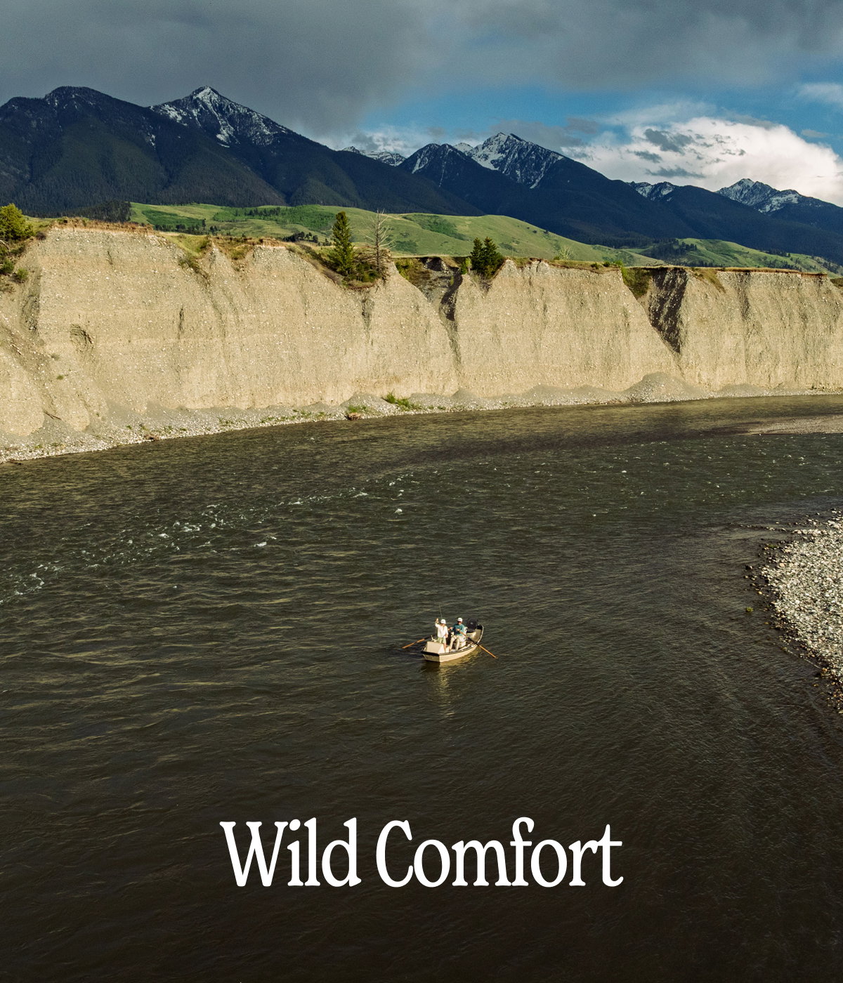 Wild Comfort