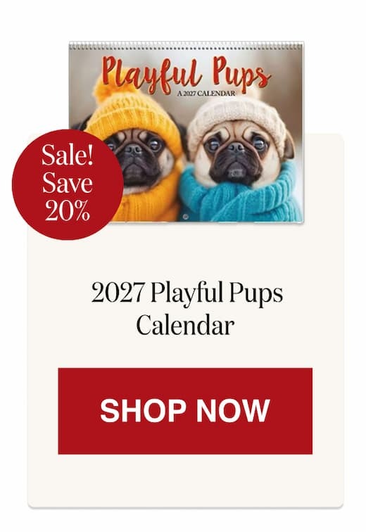 2027 Playful Pups Wall Calendar [Click here to Shop Now]