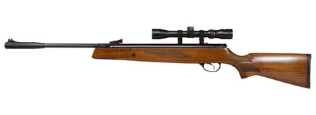 Hatsan Mod 95