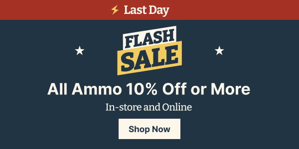 Last Day to Get 10% or MORE off ALL ammo