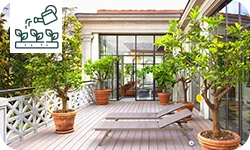 Comment transformer un balcon ou une terrasse en jardin d'été ?