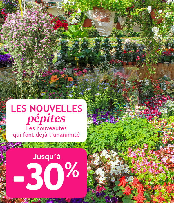 Les nouvelles pépites jusqu'à -30%