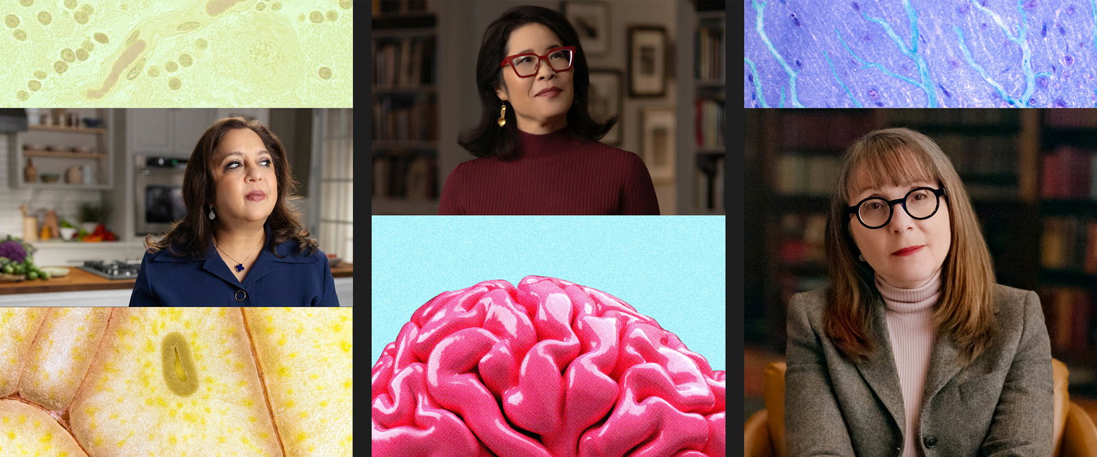 Brain Health