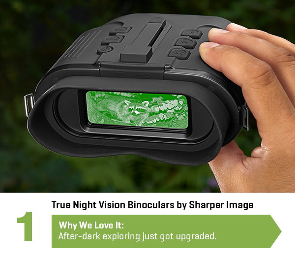 True Night Vision Binoculars by Sharper Image