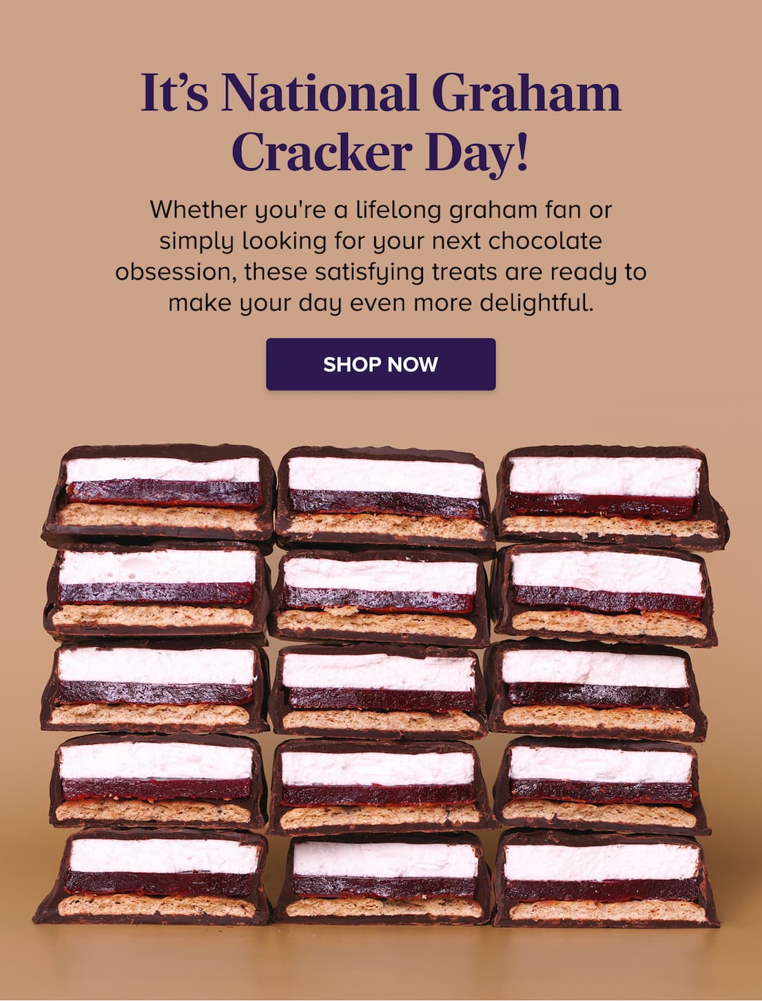 It's National Graham Cracker Day SHOP NOW