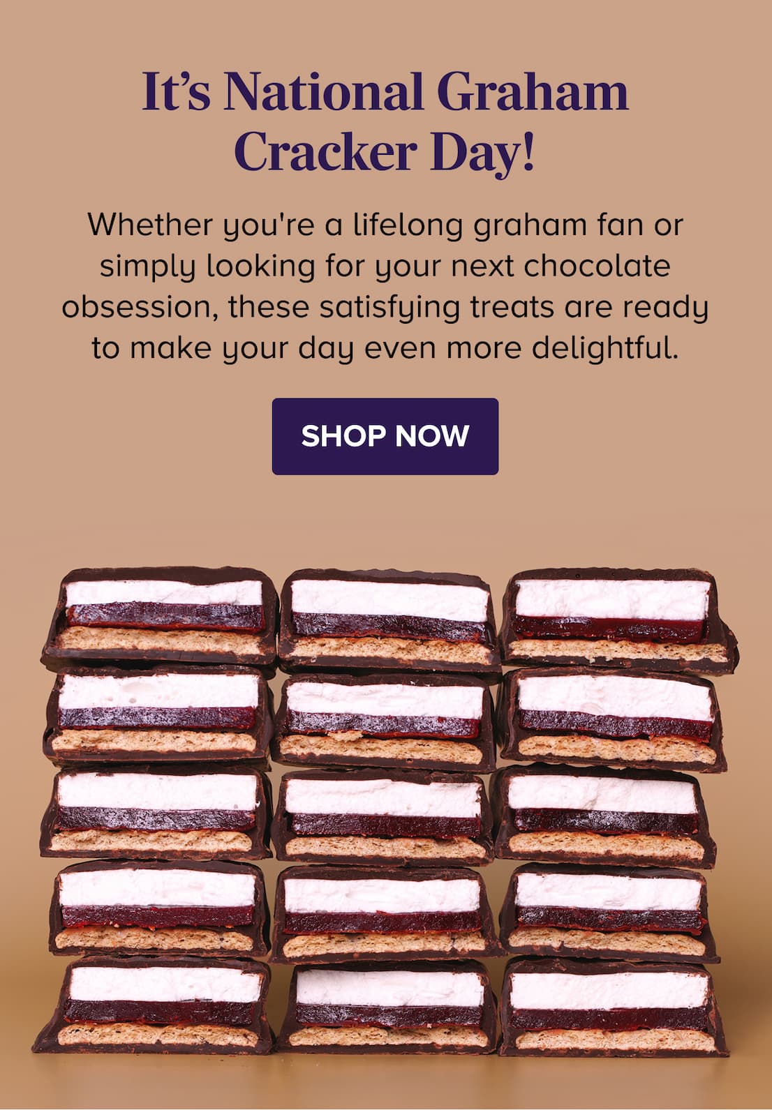 It's National Graham Cracker Day SHOP NOW