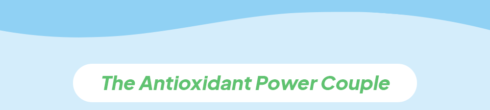 The antioxidant power couple