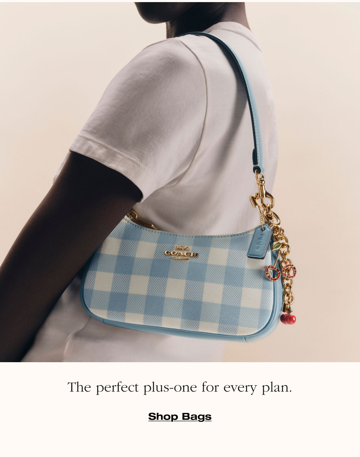 The perfect plus-one for every plan. Shop Bags