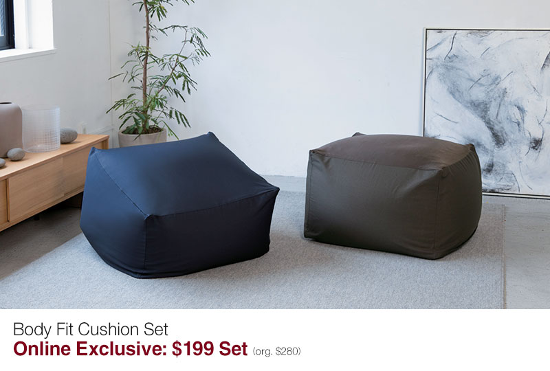 Shop Body Fit Cushion Set