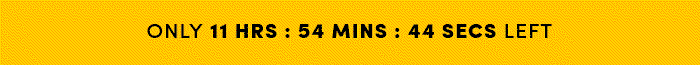 Countdown timer for Big Holiday Flash Sale.