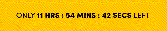 Countdown timer for Big Holiday Flash Sale.