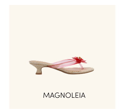 Shop Magnoleia