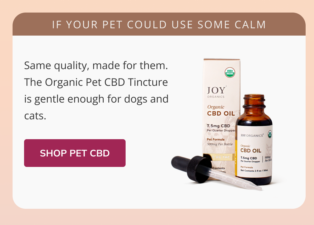 If your pet could use some calm