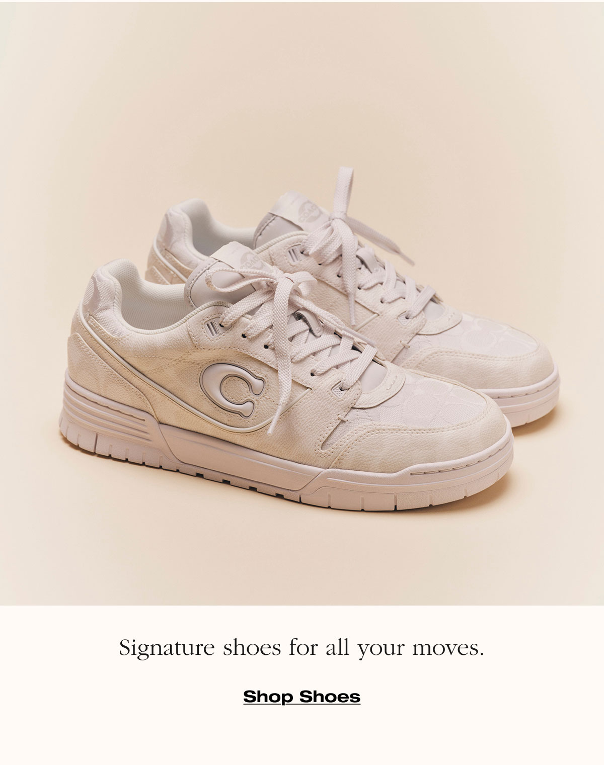 Signature shoes for all your moves. Shop Shoes