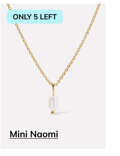 Mini Naomi