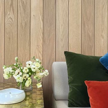 Timeline Unfinished Raw Oak Shiplap