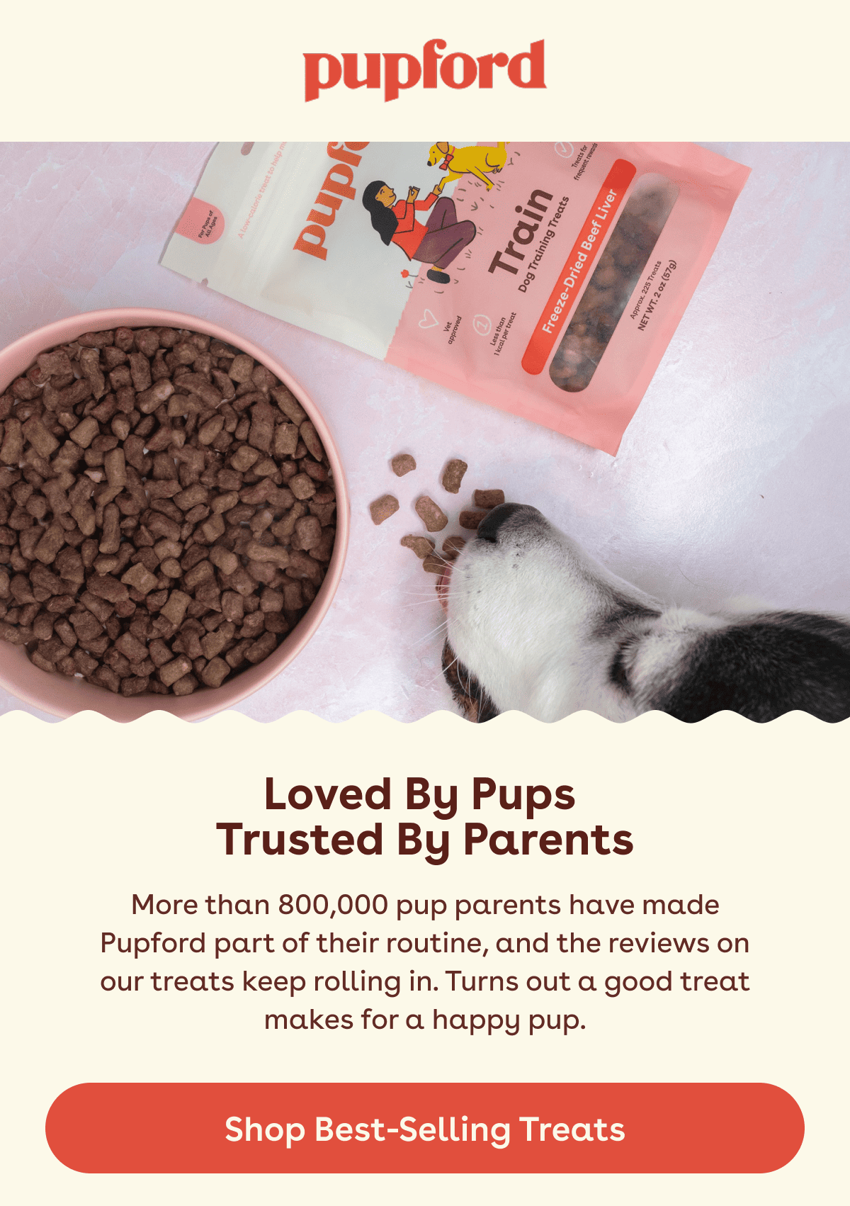 Shop best selling treats!