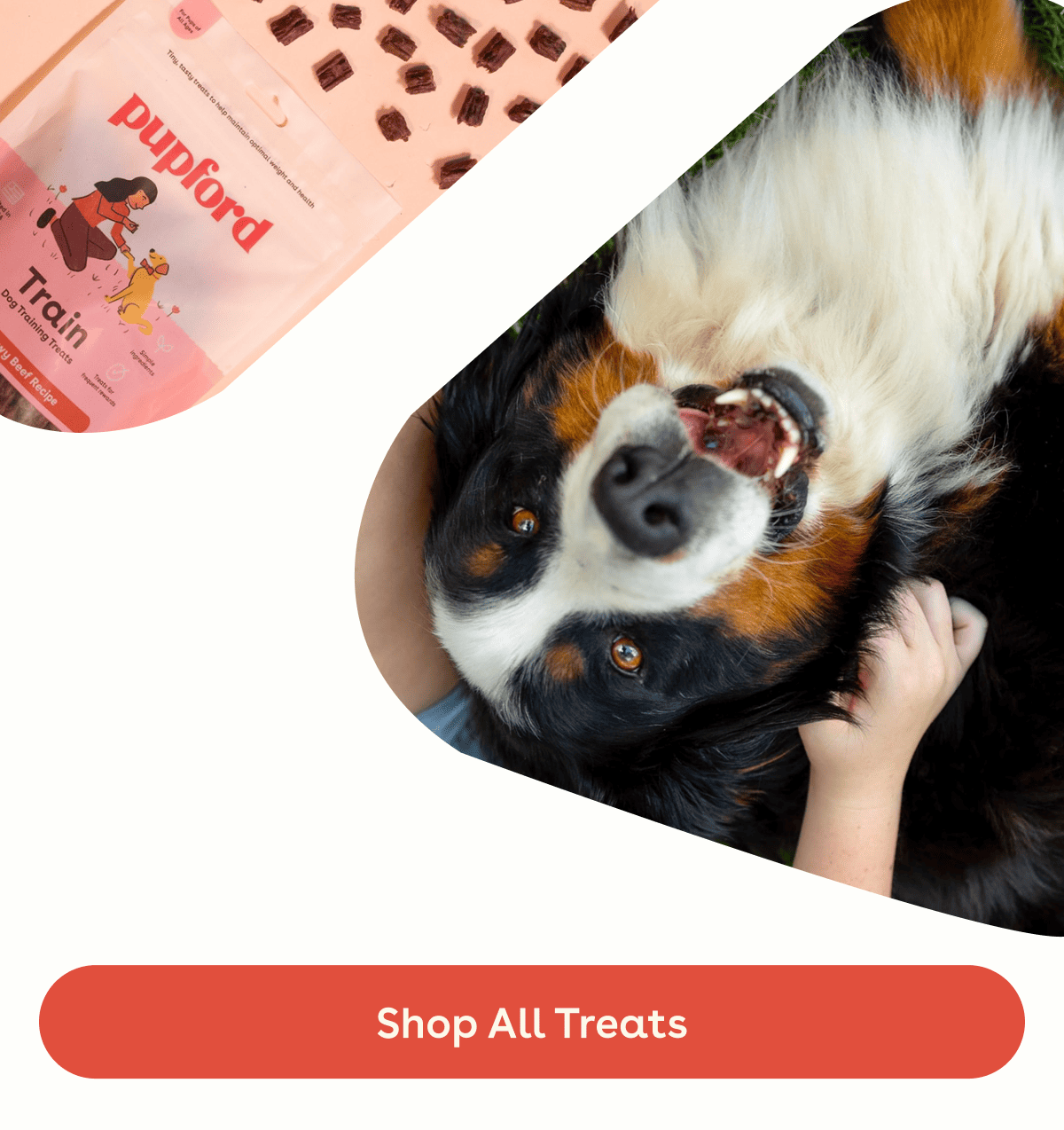 Shop all treats