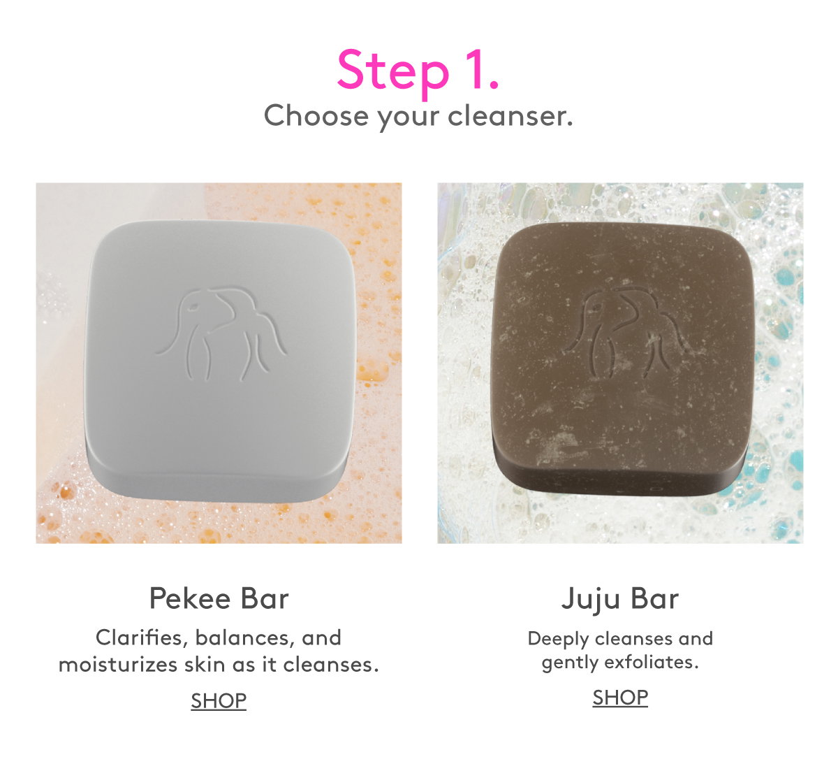 Choose Your Cleanser