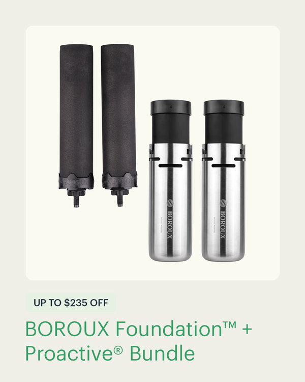 BOROUX Foundation™ + Proactive® Bundle