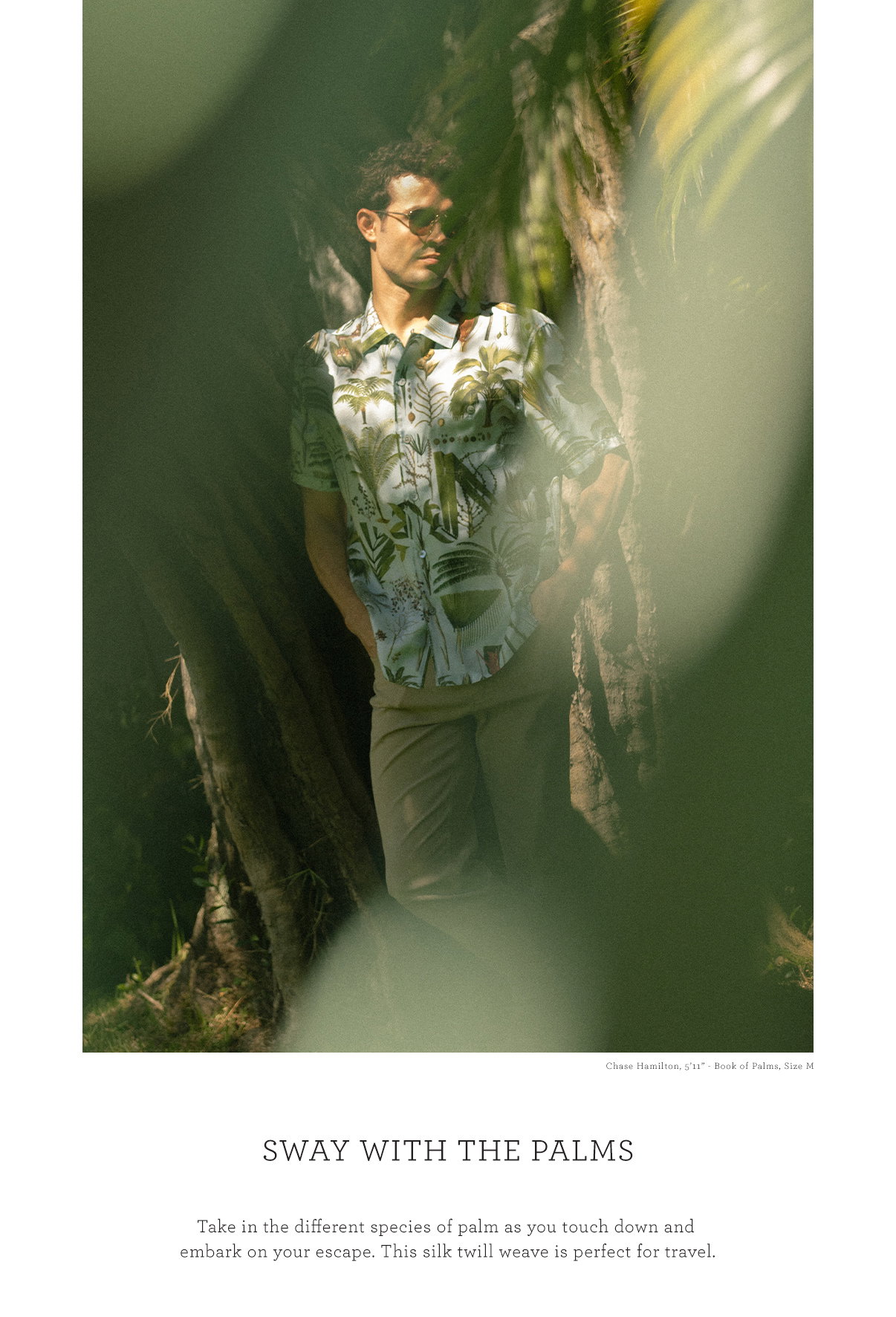 Book of Palms 