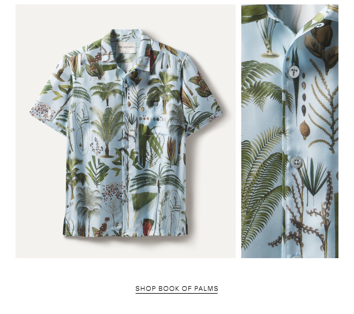 Shop Book of Palms
