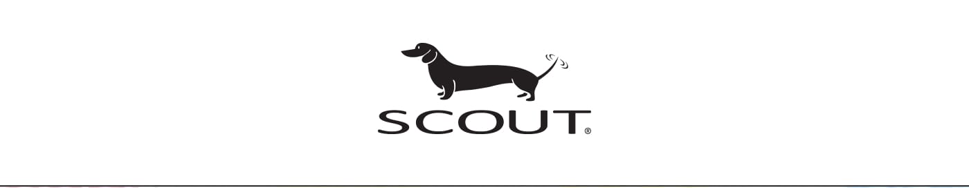 SCOUT