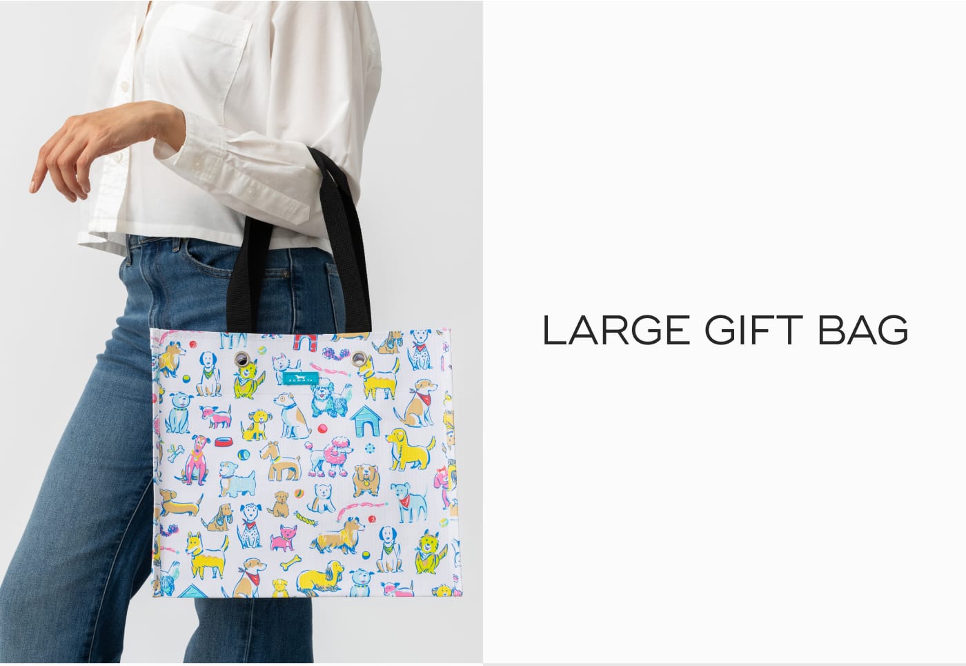 LARGE GIFT BAG
