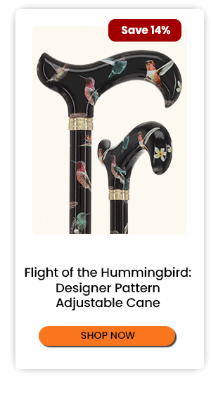Flight of the Hummingbird
