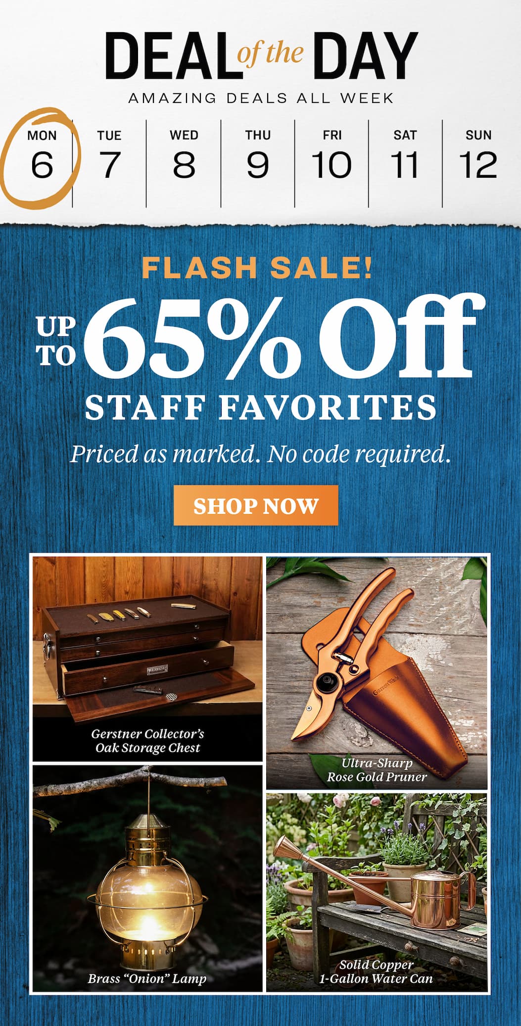 Deal of the day