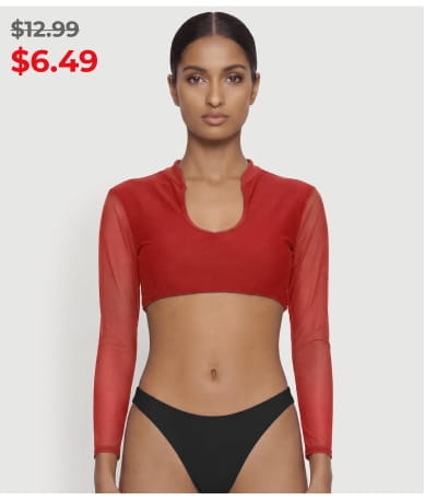 Shop Mesh Long Sleeve Crop Bikini Top