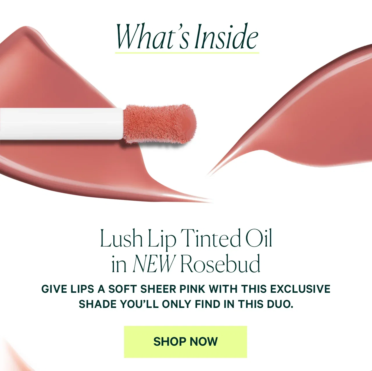 What's Inside Lush Lip Tinted Oil in NEW Rosebud  GIVE LIPS A SOFT SHEER PINK WITH THIS EXCLUSIVE SHADE YOU'LL ONLY FIND IN THIS DUO.  SHOP NOW