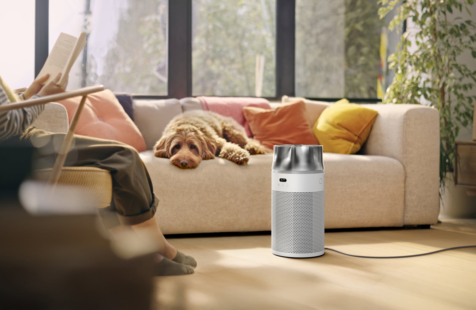 A dog sits on a sofa behind a Dyson Hushjet purifier.