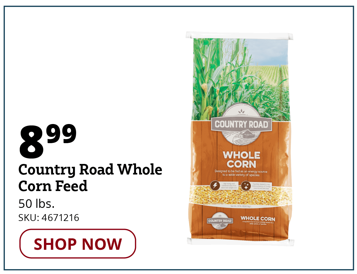 CR Whole Corn Feed