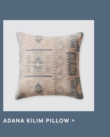 Shop Back in Stock